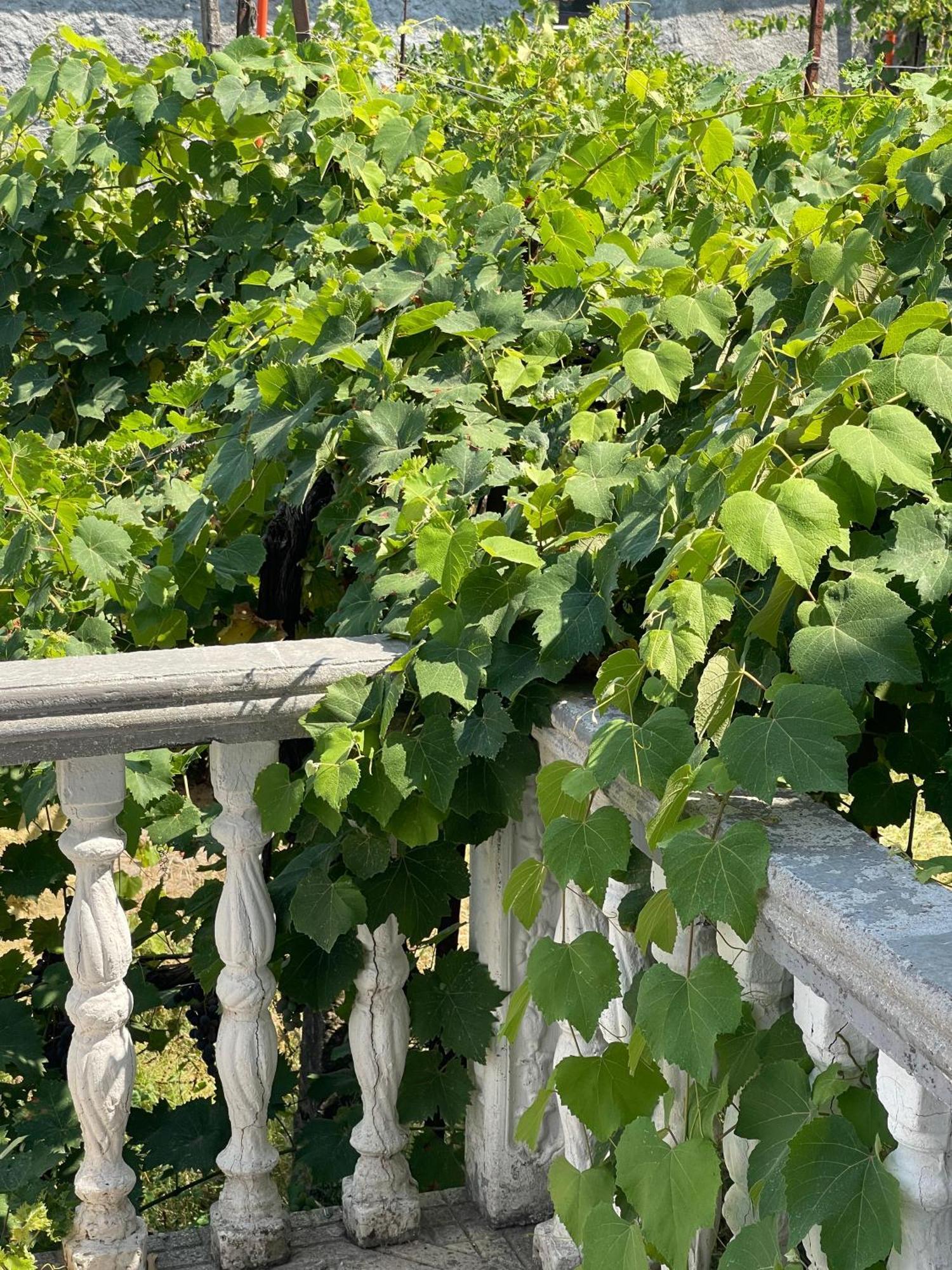 Hotel Riti Široka Dış mekan fotoğraf